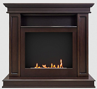 Биокамин Йорк ТМ био